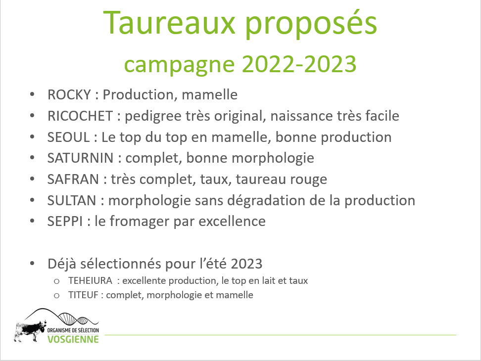 Taureaux proposés campagne 2022-2023 ©OS Vosgienne