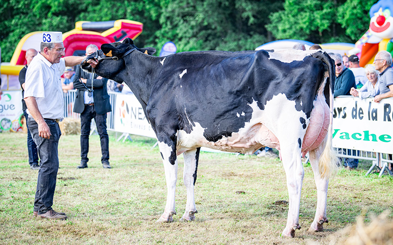 Raspoutine, GAEC de la Truche à Ban de Laveline. © Améline Perrin Photographie