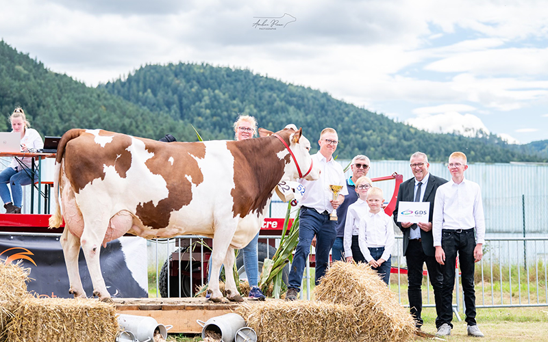 Roxane, GAEC du Chaud Four à Sandaucourt. © Améline Perrin Photographie