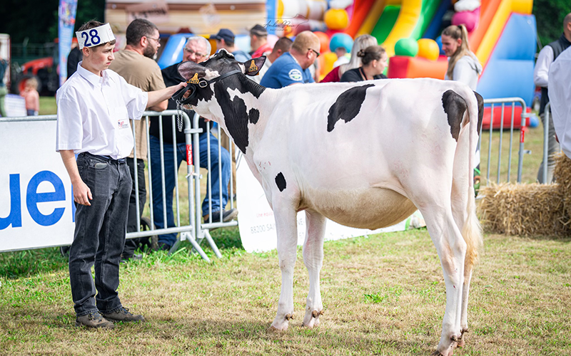Vogue du Vicieux, EARL du Vicieux à Saint-Gorgon. © Améline Perrin Photographie