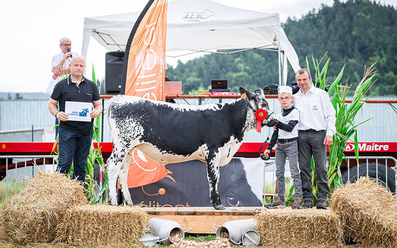 Vosgienne, EARL de La Chapelle des Ves, Le Thillot. © Améline Perrin Photographie