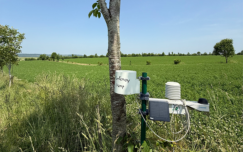 Des suivis sont réalisés depuis 2022 dans des parcelles réparties sur le Grand Est afin d’évaluer l’effet de l’alignement d’arbres intra-parcellaire. © Photo INRAE