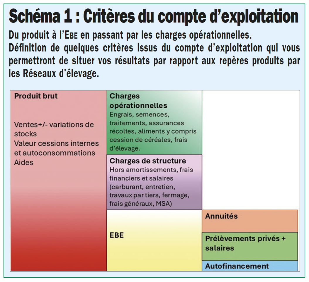 Schéma 1 : critères du compte d'exploitation, repères économiques 2025 élevage bovins viande