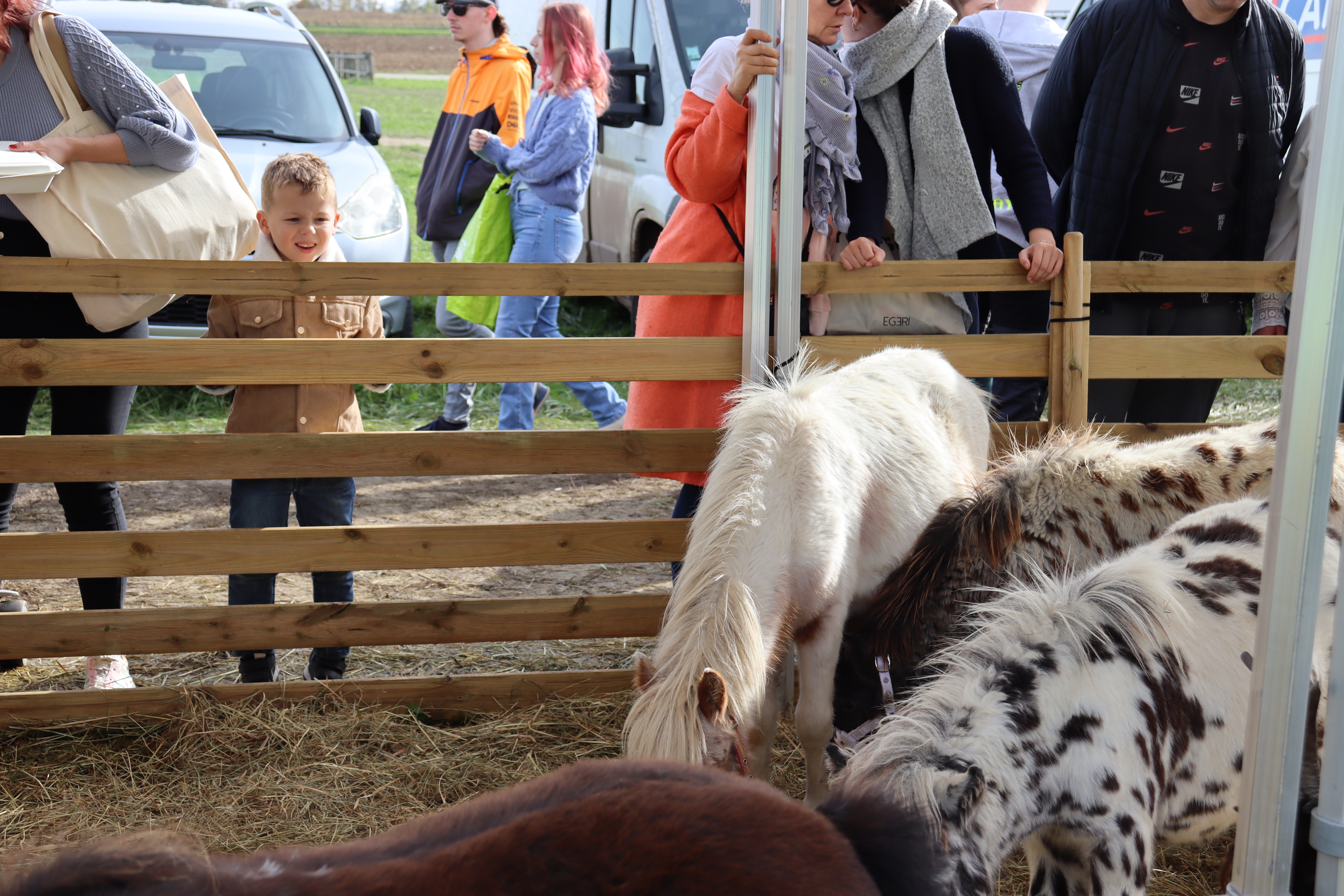 La Foire de Poussay, c’est aussi l’occasion pour le grand public de rencontrer le monde agricole et les animaux ont toujours autant de succès auprès des enfants. Photo : Marion FALIBOIS