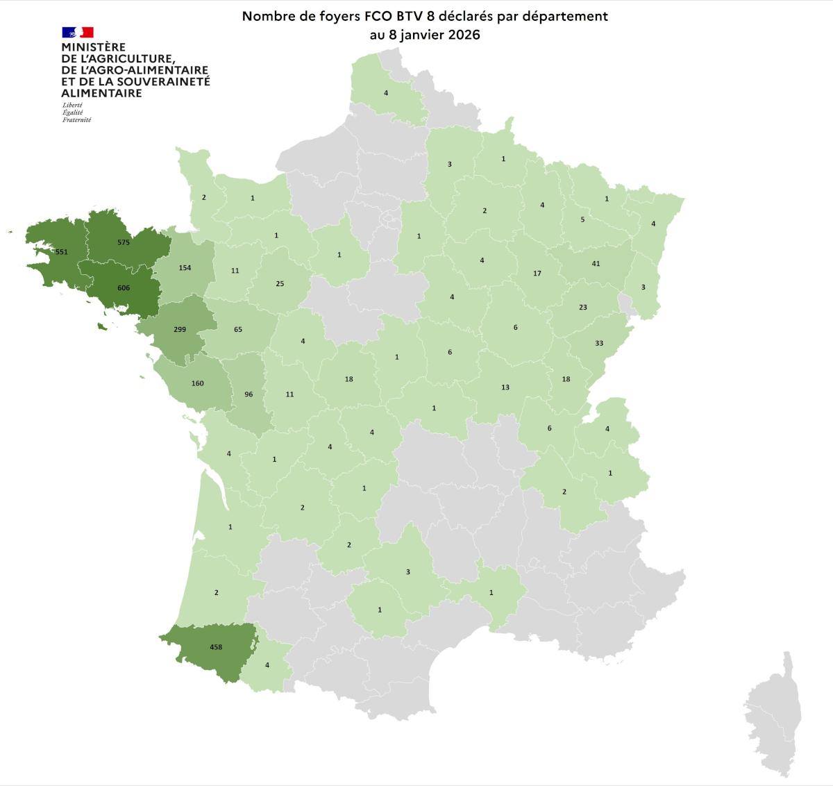 3 272 foyers de FCO 8 ont été recensés en France entre le 1er juin et le 26 décembre 2025 contre 17 038 foyers entre le 5 août 2024 et le 1er juin 2025.