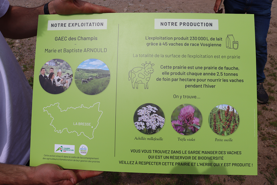 Le panneau du GAEC des Champis permettra aux promeneurs de mieux comprendre les prairies. © Photo Mélanie Becker Le panneau du GAEC des Champis permettra aux promeneurs de mieux comprendre les prairies. © Photo Mélanie Becker