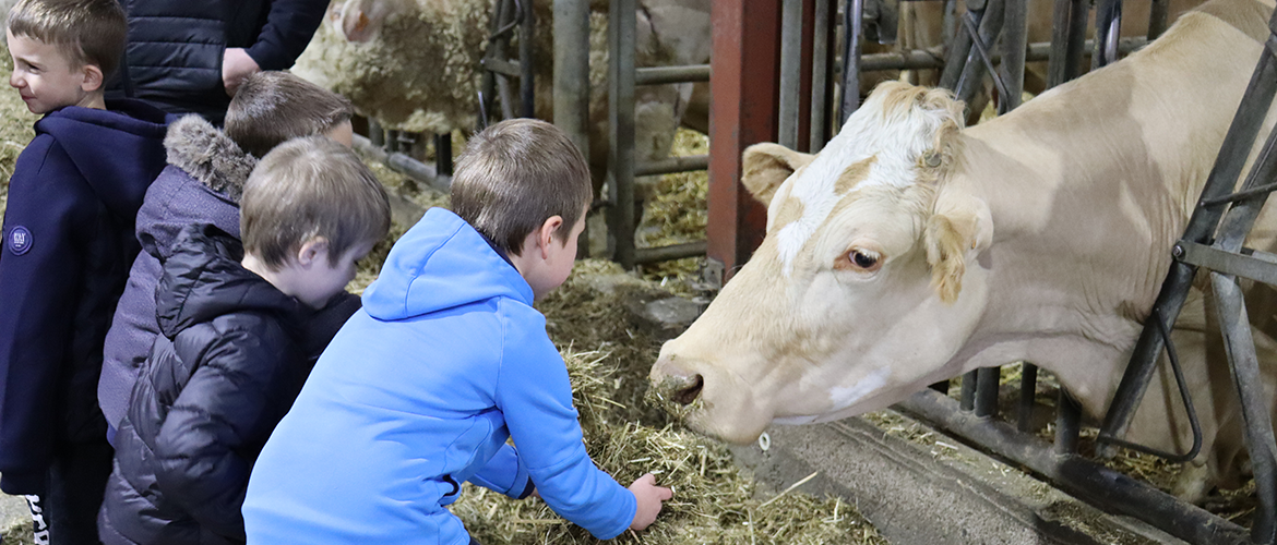 À l’EARL de Brunchotte, les enfants étaient heureux de découvrir vaches et moutons. © Photo Marion FALIBOIS