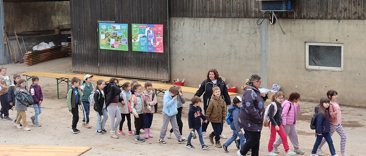Au GAEC Bastien-Douchet, en rang et deux par deux, les enfants se dirigeaient vers la salle de traite. © Photo Marion FALIBOIS
