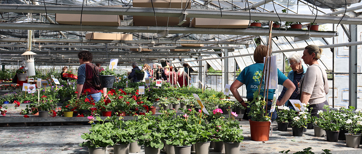Dans les serres, les jardiniers du dimanche venaient faire de bonnes affaires. © Marion FALIBOIS