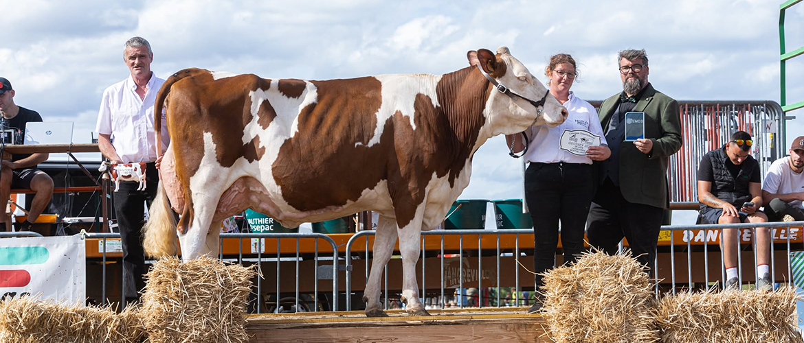RAVANAISE, grande championne du GAEC de la Cende. © Manon Laurain Photographie