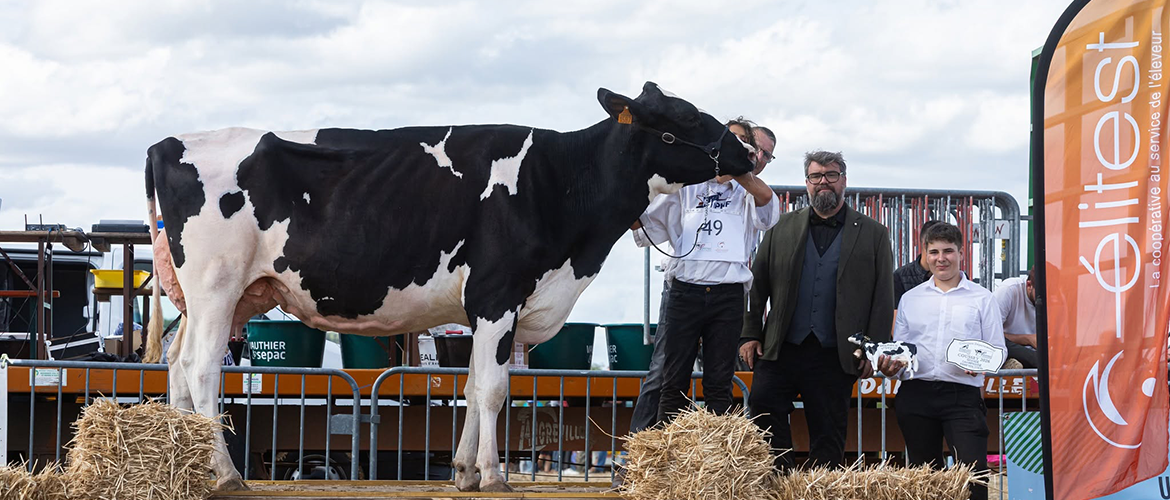 SARASA, grande championne, GAEC de la Truche. © Manon Laurain Photographie