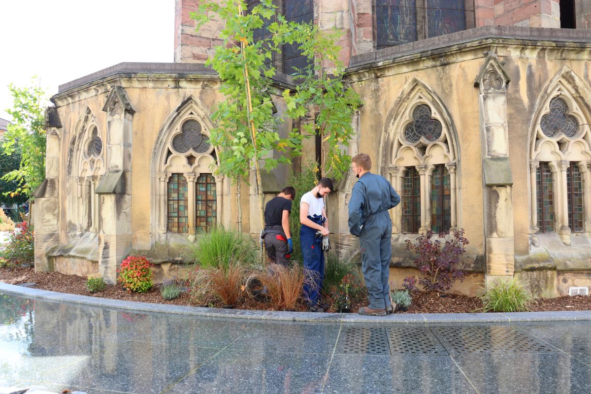 Le jardin éphémère habille le pourtour de la Basilique. 