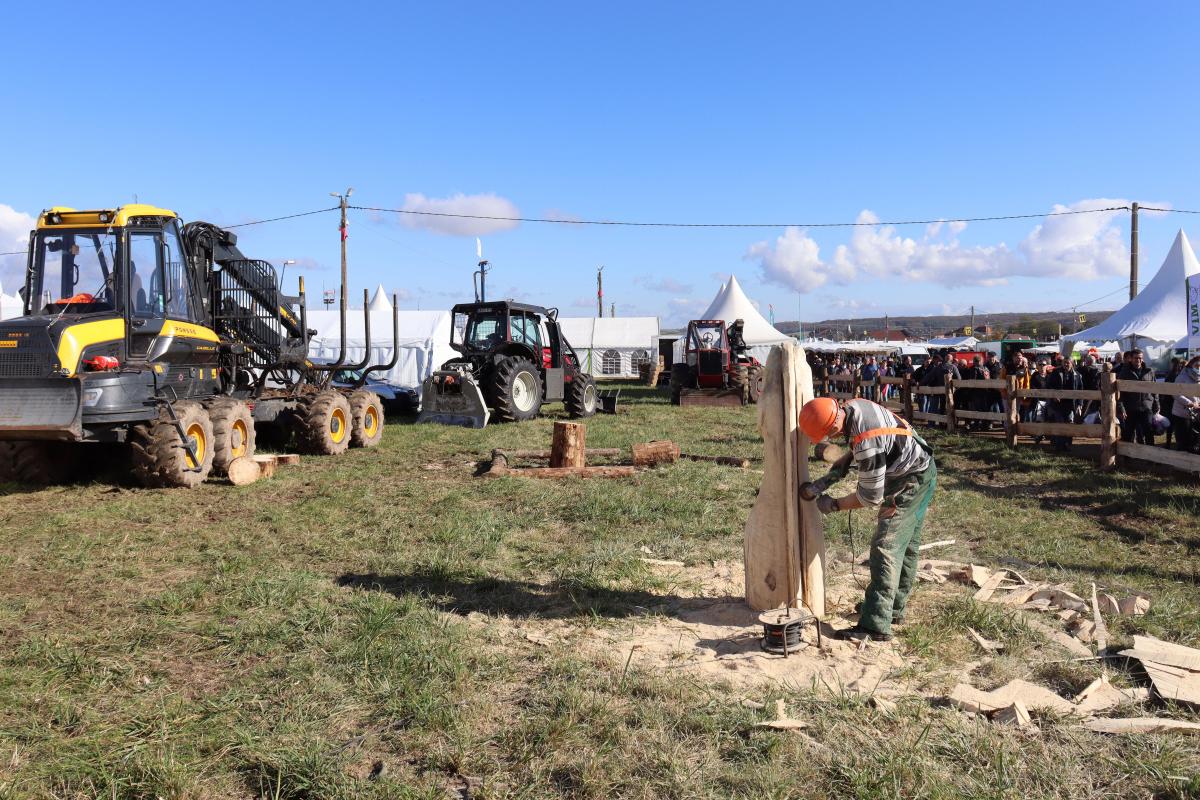 Démonstration de matériels forestiers et sculpture sur bois sur le stand du Campus de Mirecourt Agricole et Forestier. 