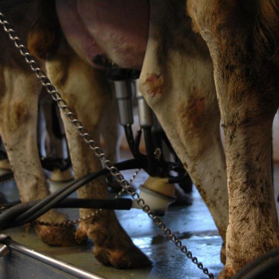 Le Cil Bourgogne Franche Comté Est fédère 25 départements. Photo : H.Flamant