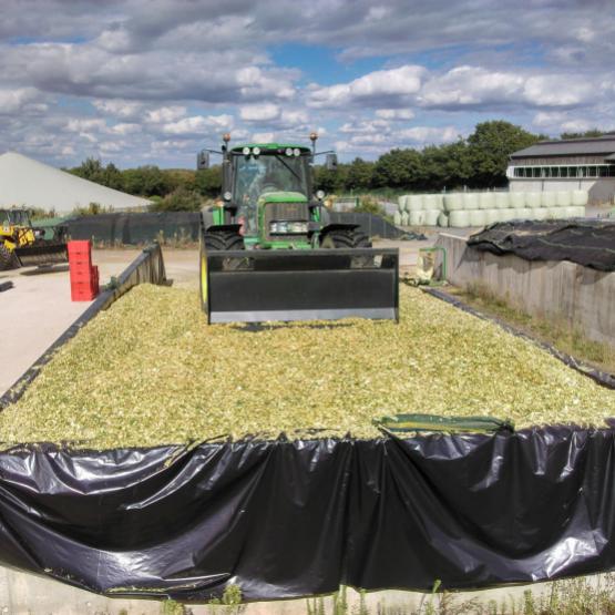 « L’apparition de moisissures dans un silo de maïs n’indique pas la présence de mycotoxines », point Jérôme Larcelet. Photo : Uijttewaal/Arvalis.