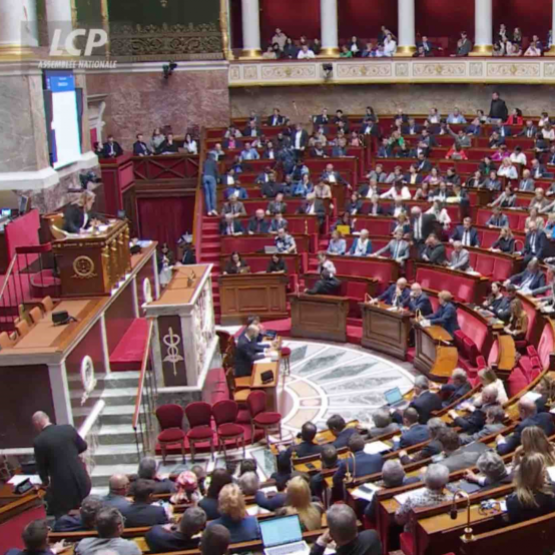 Vote PLOA à l'Assemblée nationale. Photo DR