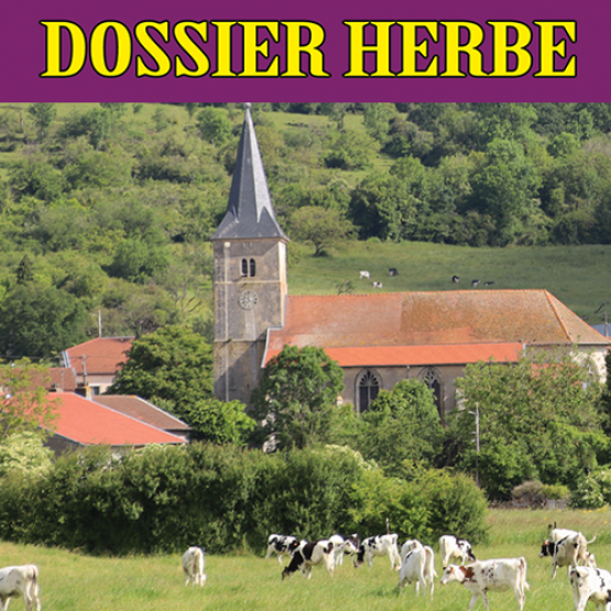 Dossier Herbe juin 2024 - L'apparente quiétude des animaux masque un printemps excessivement pluvieux.