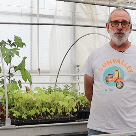 Laurent Dervaux, enseignant en production horticole et responsable de l’exploitation de l’Ecole d’horticulture et de paysage (EHP) © Marion FALIBOIS
