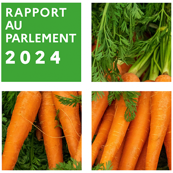 Rapport au parlement OFMP 2024