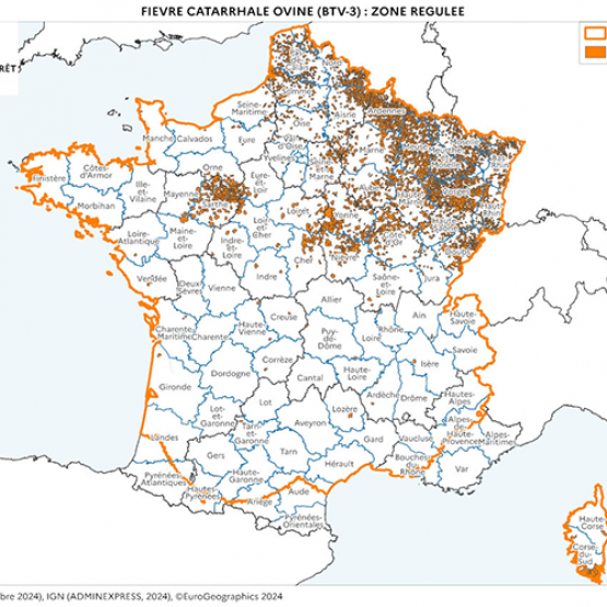 source cartographie : ministère de l'Agriculture