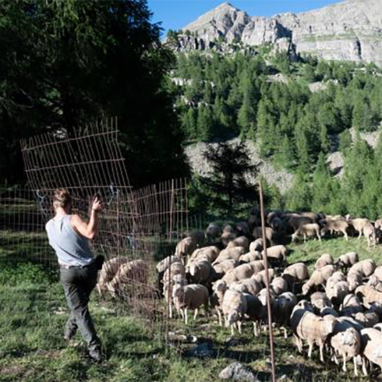 © Xavier Remongin / agriculture.gouv.fr