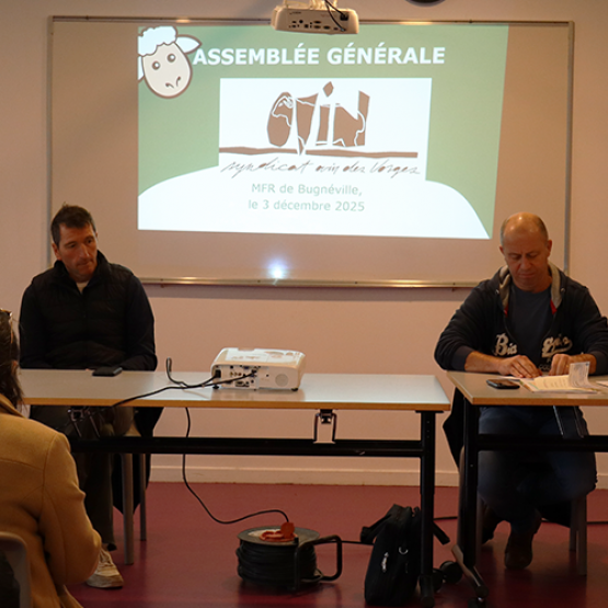 (De G. à D.) Dominique Candau, technicien ovin, CDA 88, Jean-Yves Poirot, pdt syndicat ovin 88, Stéphane Richard, responsable partenariat bouchers/ éleveurs, Frédéric Antonot, trésorier syndicat ovin 88 et Olivier Lavancier, exploitant. © M. FALIBOIS