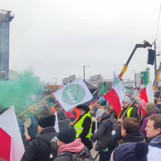 Les agriculteurs vosgiens faisaient partie des rangs des manifestants ce mardi 20 janvier à Strasbourg. © FDSEA 88