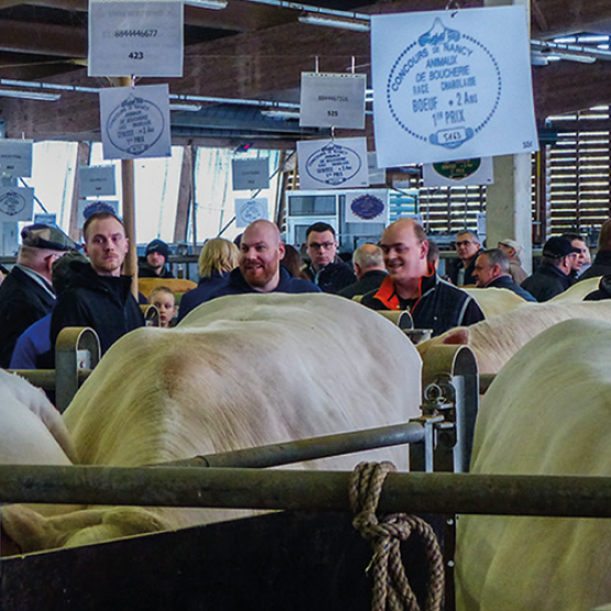 Les visiteurs étaient nombreux dans les allées de la halle aux bestiaux, mercredi 2 avril. © Photo DR