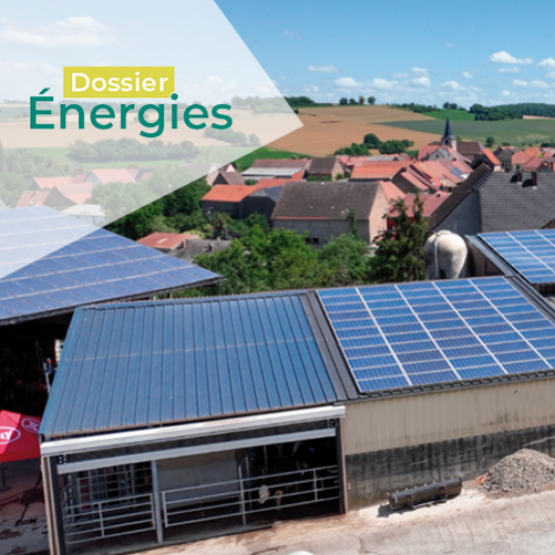 Avec leurs vastes toitures, les agriculteurs disposent d’un atout pour produire de l’énergie renouvelable à grande échelle. © Photo Ilona Bonjean