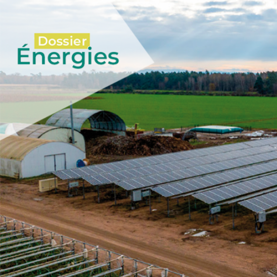 L’absence de recul sur certains modèles agrivoltaïques impose une analyse fine des enjeux et des éventuels impacts sur la production agricole. © Photo Hugo Orenga