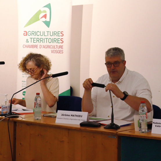 (De G à D) Anne-Marie Vieu, Jérôme Mathieu, Valérie Michel-Moreaux et Mickaël Moulin © Photo Mélanie Becker