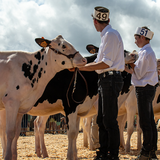 L'année dernière déjà le partenariat entre les JA et Top Génétique Vosges était une réussite. © Photo Top Génétique Vosges