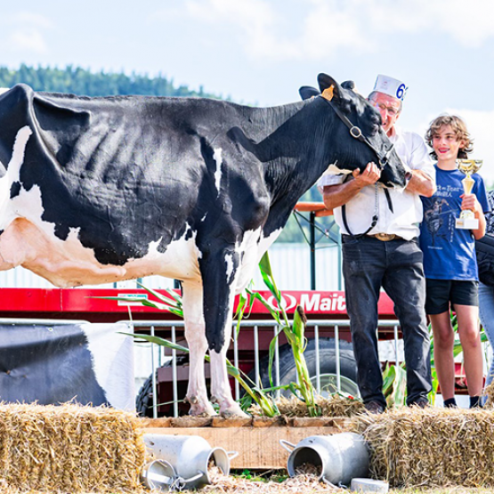 Raspoutine est montée sur le podium ce week-end à Nompatelize. © Améline Perrin Photographie 