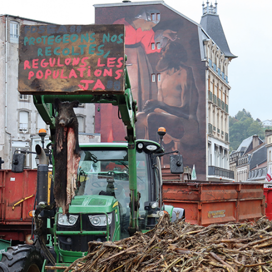 Mercosur, dégâts de gibiers, la colère des agriculteurs s’est illustrée aux pieds de la fédération départementale de chasse, de la DDT et de la Préfecture des Vosges. © Photo Marion FALIBOIS