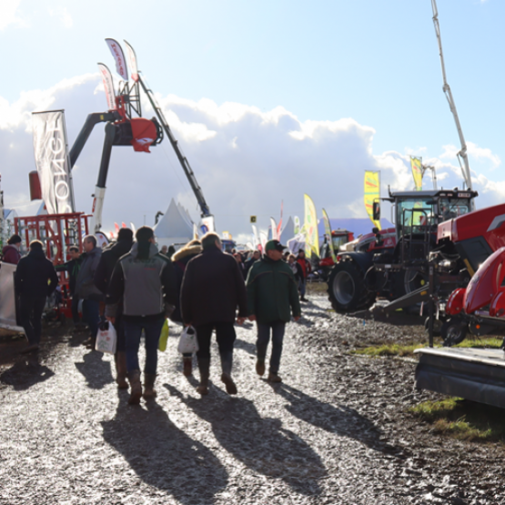 Le champ de foire de Poussay était autant boueux qu’ensoleillé pour cette 427ème édition © Photo de Marion Falibois