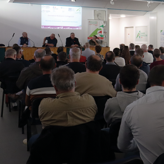 Plusieurs centaines d’éleveurs des Vosges ont assisté aux réunions d’information sur la DNC. © Photo Marion FALIBOIS