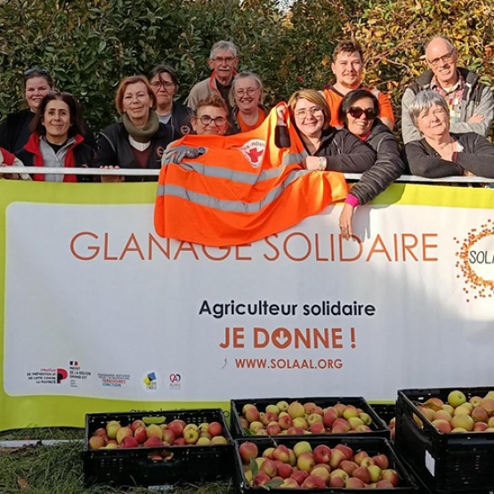 Glanage solidaire de pommes organisé par SOLAAL à Gigney. © Photo SOLAAL Grand Est