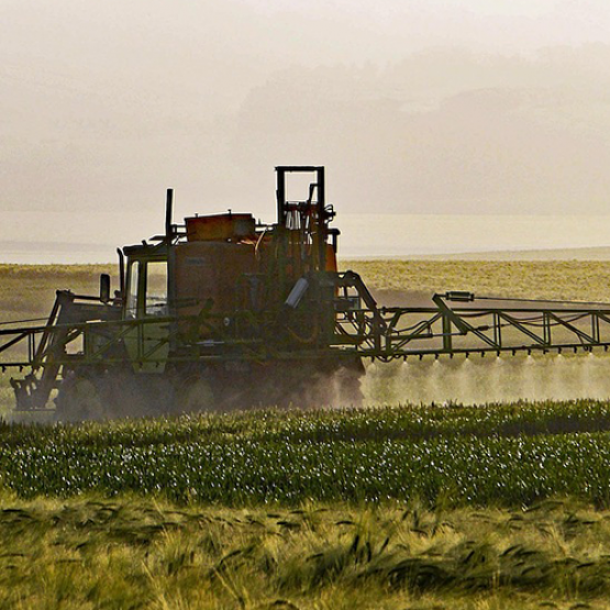 © Photo sous licence CC