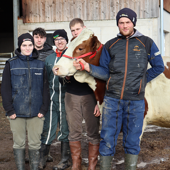 (De G. à D.) Léna Vaxelaire, stagiaire, Bryan Perrin, futur salarié, Nathanaël Cherrier, stagiaire, Fabien Colle, salarié et Jules Arnould, éleveur à l’EARL des Gourmets posent avec Tulipe, une petite fille de Finette. © M. FALIBOIS