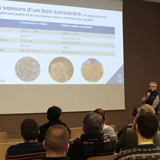 Rémi Enriquet et Odeline Thomir, conseillers d’élevage, ont réalisé la présentation de la matinée. © Photo Camille COQUET