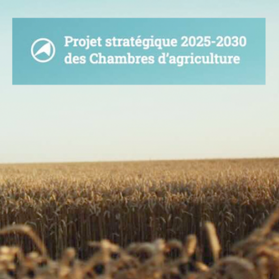 https://paysanvosgien.agri-info-nordest.fr/vie-professionnelle/revenu-et-developpement-les-ambitions-des-chambres-dagriculture © Photo DR