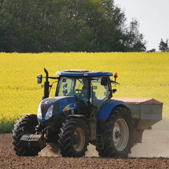 Fertilisation azotée du tournesol : ajuster les apports aux besoins réels pour concilier rendement et qualité. © Photo Terres Inovia