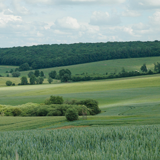 Le bail rural à clauses environnementales est un outil permettant de concilier activité agricole et protection de l’environnement. © Photo DR