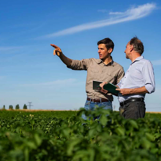 Agriculteurs en discussion sur les parcelles exploitées. © Photo DR iStock