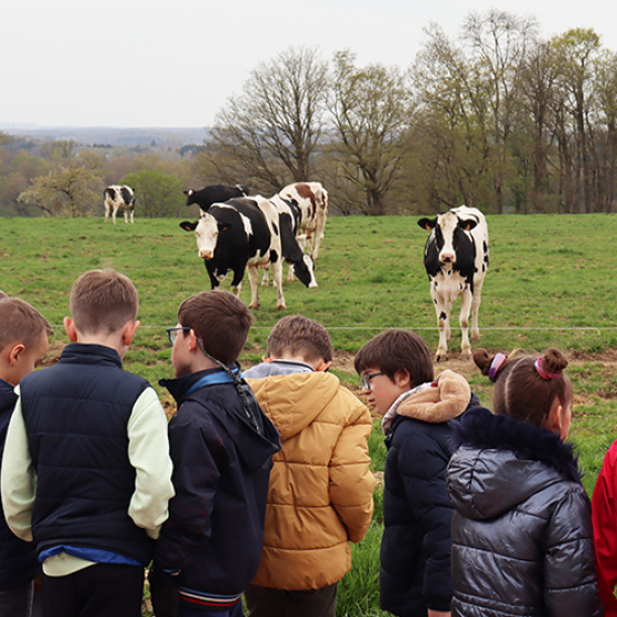Les Rencontres à la ferme, co-organisées par la Fdsea et les Ja 88 visent à susciter des vocations. © Photo Marion FALIBOIS