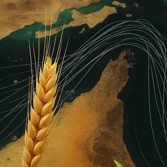 Passages des céréales par le détroit d'Ormuz. © Illustration DR iStock