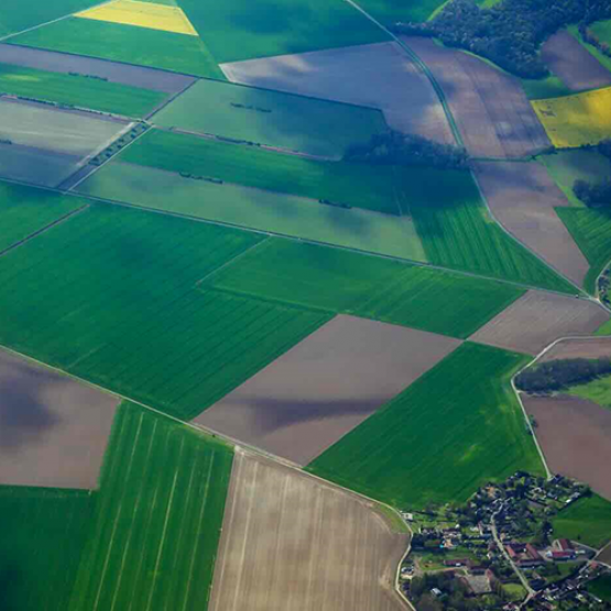 Vue aérienne de champs. © Photo DR iStock
