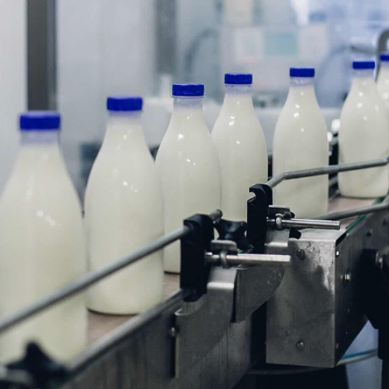 Mise en bouteille du lait. © DR iStock