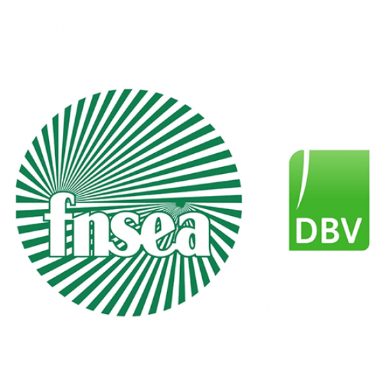 Logos FNSEA et DBV
