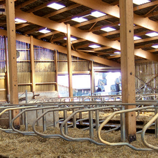 L’arrêt du lait : de lourdes conséquences sur le plan économique. © Photo Inosys Réseaux d'élevage